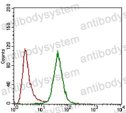 Anti-CD24 Antibody (R3G67)
