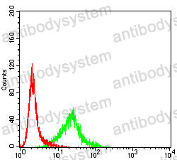 Anti-CXCR7/ACKR3 Antibody (R3G71)