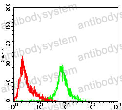 Anti-MCM3 Antibody (R3G73)