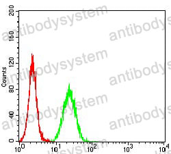 Anti-BRD2 Antibody (R3G74)