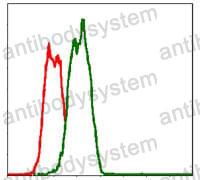 Anti-CD95/FAS Antibody (R3G76)