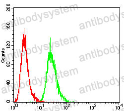 Anti-ATP5F1A Antibody (R3G82)