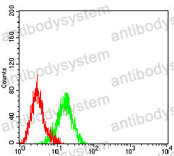 Anti-ATP5F1A Antibody (R3G79)
