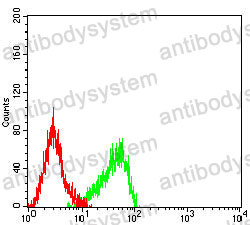 Anti-ATP5F1A Antibody (R3G80)