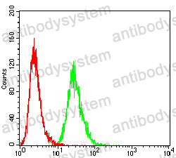 Anti-ATP5F1A Antibody (R3G81)