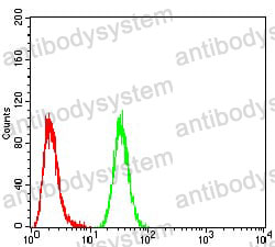 Anti-NFKBIA Antibody (R3G93)