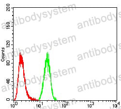 Anti-NFKBIA Antibody (R3G94)
