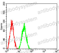Anti-ITGB7 Antibody (R3G97)