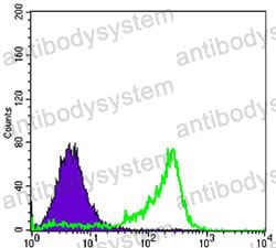 Anti-PAX6 Antibody (R3H06)