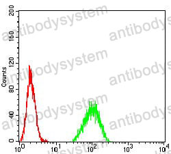 Anti-PAX6 Antibody (R3H07)