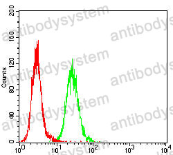 Anti-ACRV1 Antibody (R3H10)