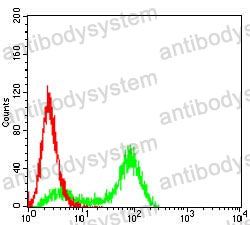 Anti-S100A4 Antibody (R3H11)