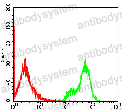 Anti-S100A4 Antibody (R3H12)