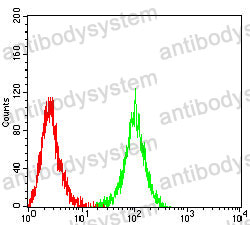 Anti-CD314/KLRK1/NKG2D Antibody (R3H17)