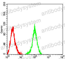Anti-CD314/KLRK1/NKG2D Antibody (R3H16)