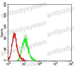 Anti-CD27 Antibody (R3H18)