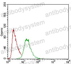 Anti-PON1 Antibody (R3H21)