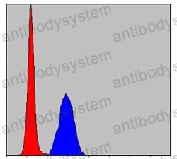 Anti-MAPK3 Antibody (R3H24)
