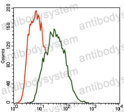 Anti-MARK3 Antibody (R3H34)