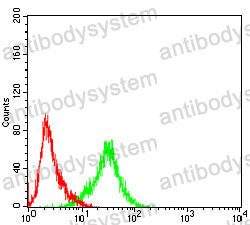 Anti-CD82 Antibody (R3H39)