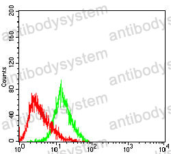 Anti-CD82 Antibody (R3H40)