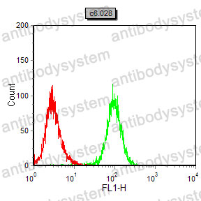 Anti-Calreticulin/CALR Antibody (R3H41)
