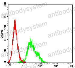 Anti-CD121b/IL1R2/IL-2R beta Antibody (R3H44)