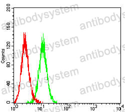 Anti-CD121b/IL1R2/IL-2R beta Antibody (R3H45)