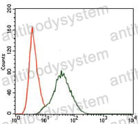 Anti-PIK3R1/PI3-kinase p85-alpha Antibody (R3H46)