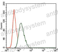 Anti-PIK3R1/PI3-kinase p85-alpha Antibody (R3H47)