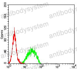 Anti-SMARCA1 Antibody (R3H53)