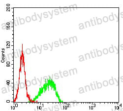 Anti-SMARCA1 Antibody (R3H52)
