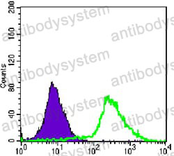 Anti-MAPK1 Antibody (R3H55)