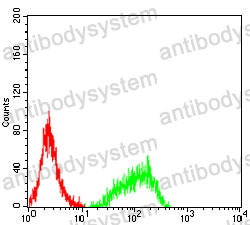 Anti-CD30/TNFRSF8 Antibody (R3H65)