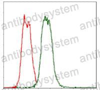 Anti-CD30/TNFRSF8 Antibody (R3H62)