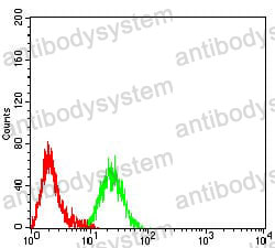 Anti-CD1b Antibody (R3H67)