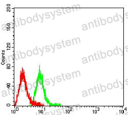 Anti-CD1b Antibody (R3H66)