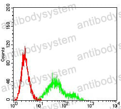 Anti-CD1c Antibody (R3H69)