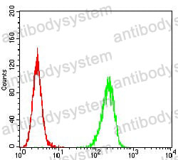 Anti-A2AR/ADORA2A Antibody (R3H71)