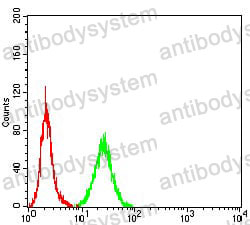 Anti-NOS1 Antibody (R3H81)