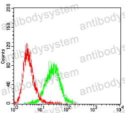 Anti-CD6 Antibody (R3H95)