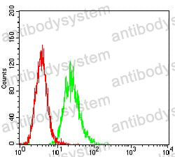 Anti-CD6 Antibody (R3H94)