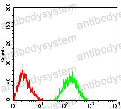 Anti-CHRNA5 Antibody (R3J04)