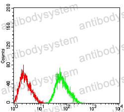 Anti-CHRNA5 Antibody (R3J03)