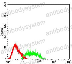 Anti-SSTR2/SRIF-1 Antibody (R3J06)