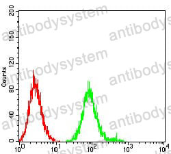 Anti-CHRNB4 Antibody (R3J07)