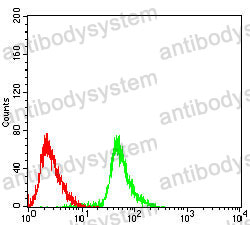 Anti-SDHA Antibody (R3J09)