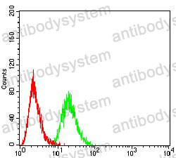 Anti-HOXA9 Antibody (R3J11)