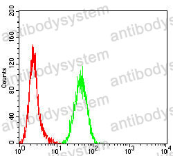 Anti-TIA1 Antibody (R3J14)