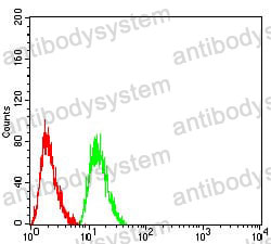 Anti-AKT1 Antibody (R3J16)